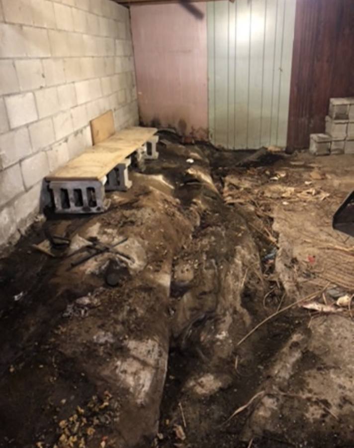 Spring snowmelt flooding a Bracebridge basement — high water table from Muskoka snowpack