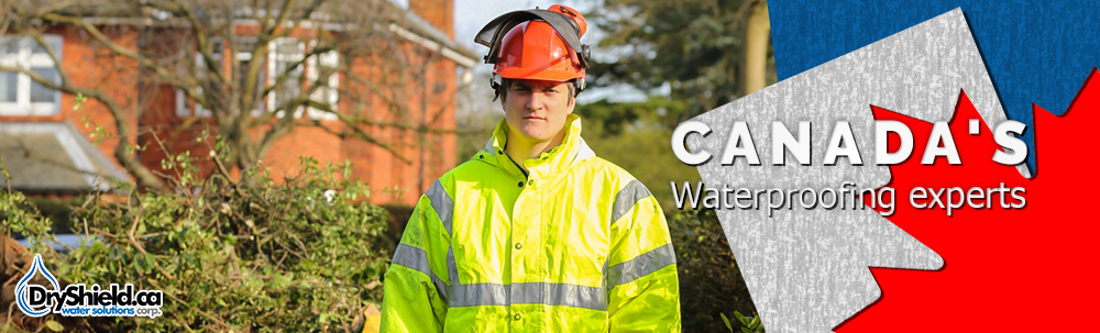 sewage-cleanup