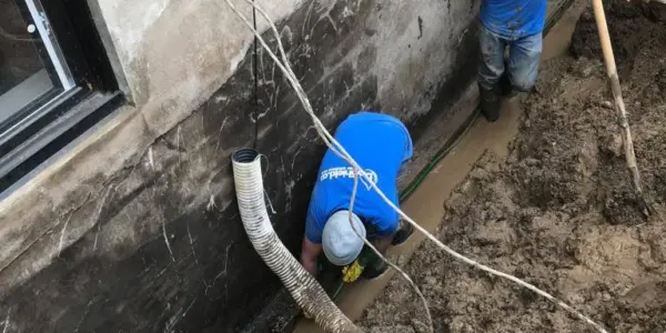 dryshield mb20