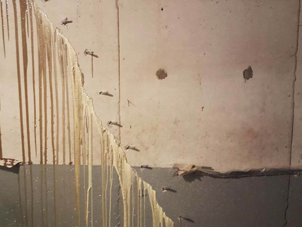 Foundation crack repair