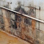 leaky-basement