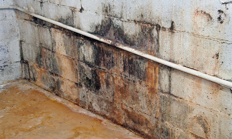 leaky-basement
