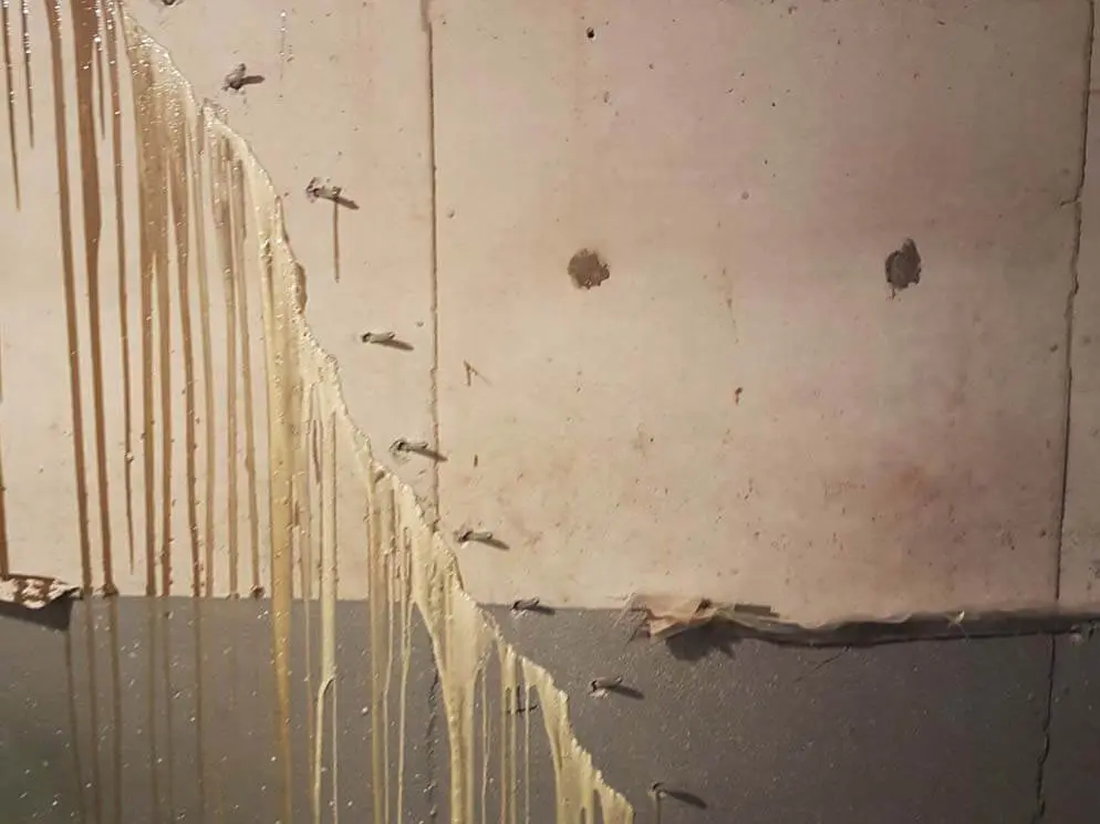 Crack In Foundation