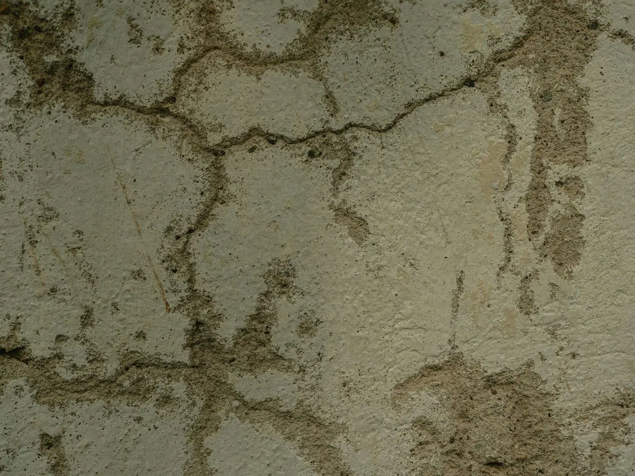 Foundation Crack Repair