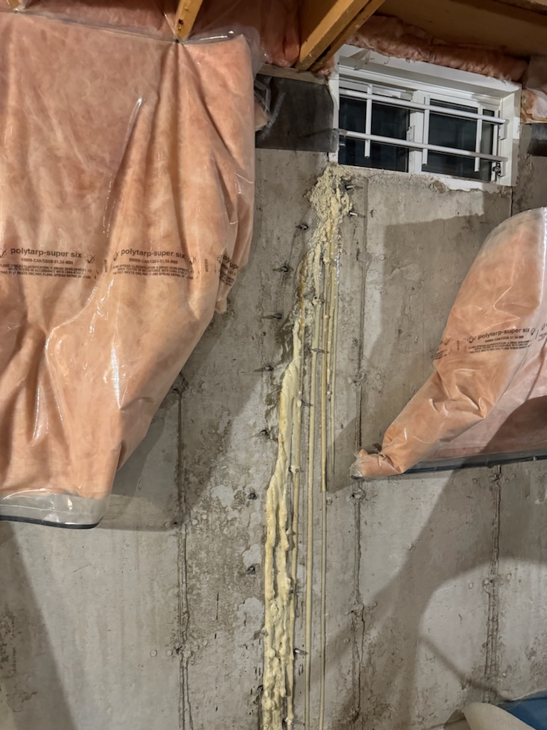Crack Injection website image