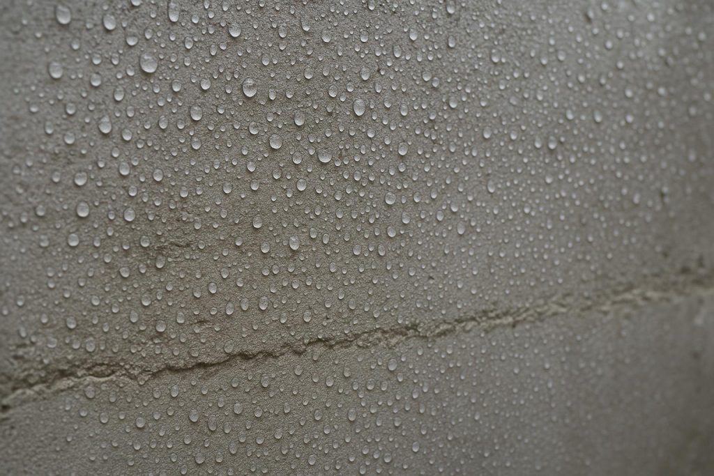 Moisture beading on a grey concrete basement wall surface